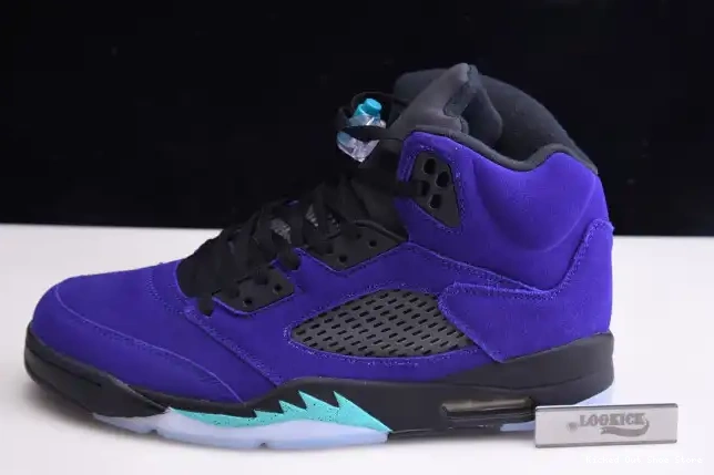 Kick Theory 5 Retro 136027-500 Jordan Grape Alternate Air 0515